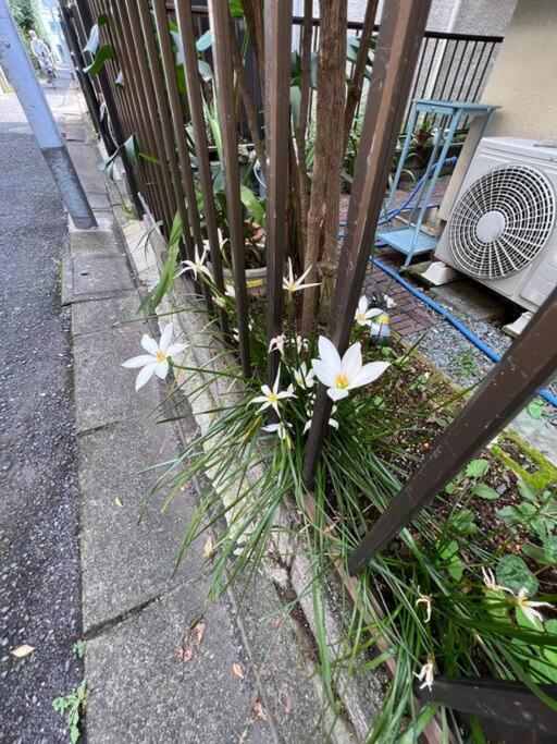 東京芳华驿站 Apartment Tokyo Bagian luar foto
